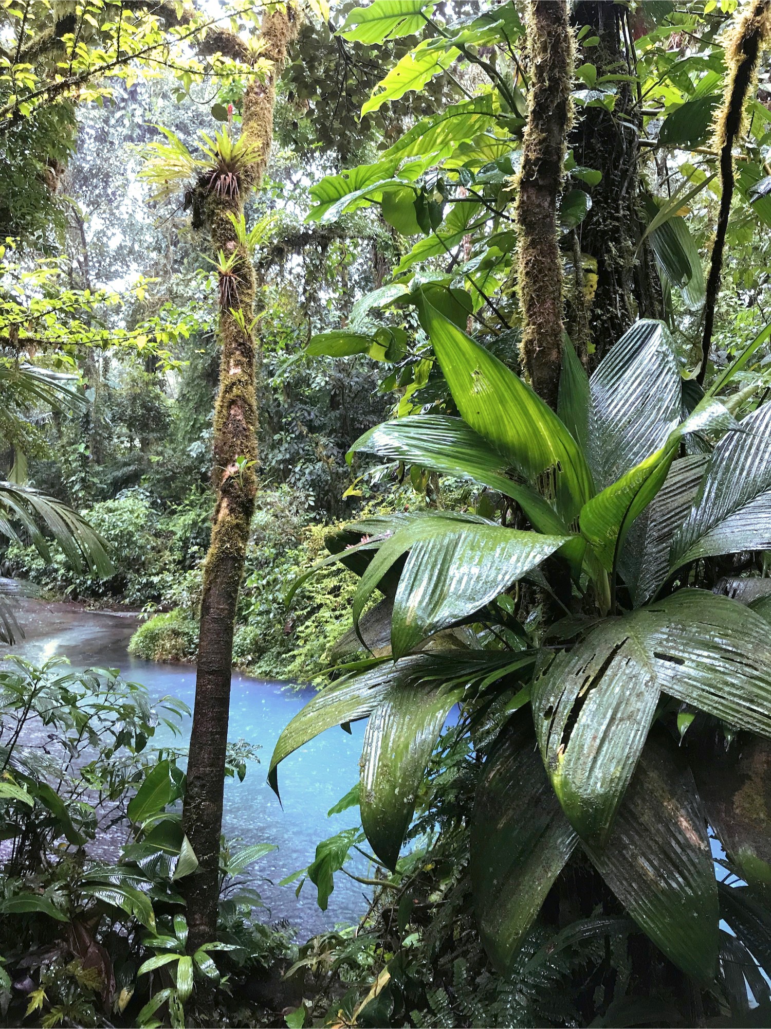 Parque Nacional Vulcán Tenorio Costa Rica