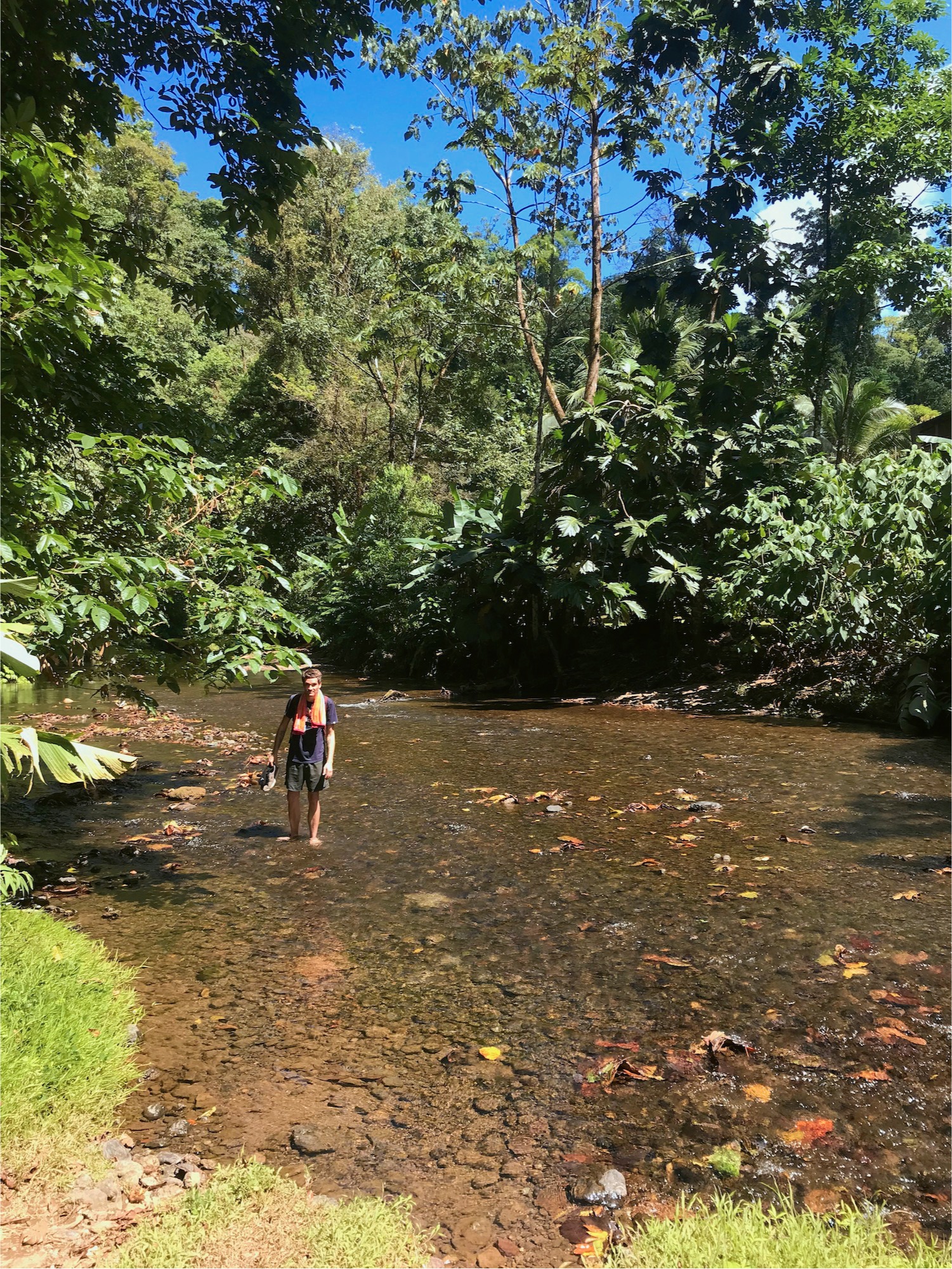 Oda, Costa Rica, Dschungel