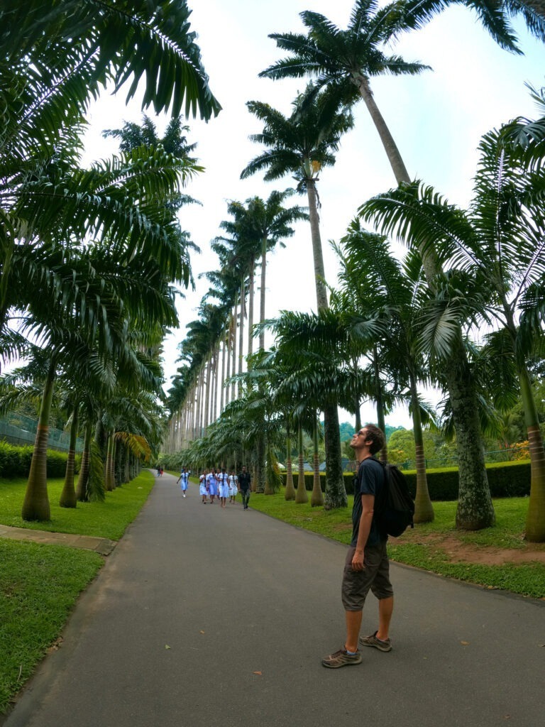 Königlicher botanischer Garten Kandy