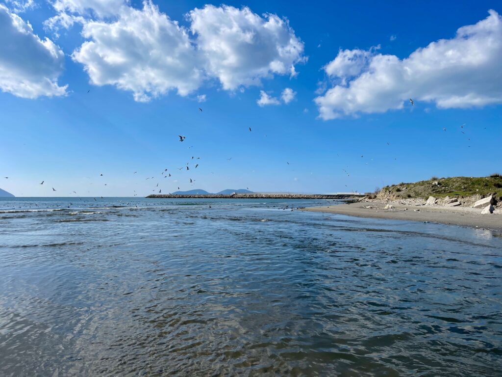 Meer und Möwen