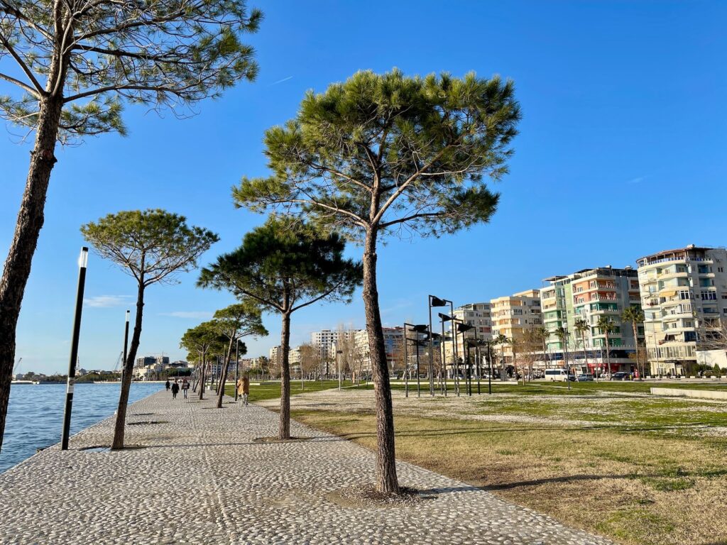 Kiefern an einer Promenade in Vlora