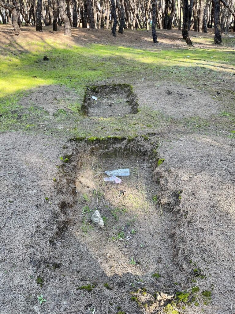 Seltsame gruben im Waldboden