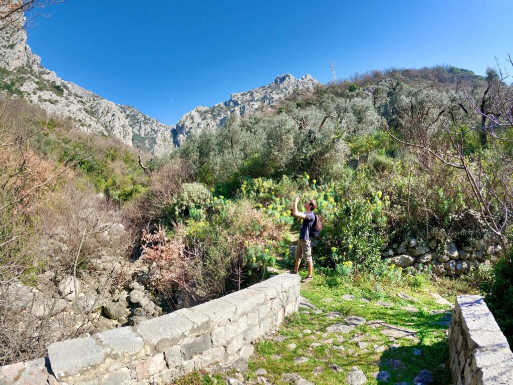 Mediterrane Brücke