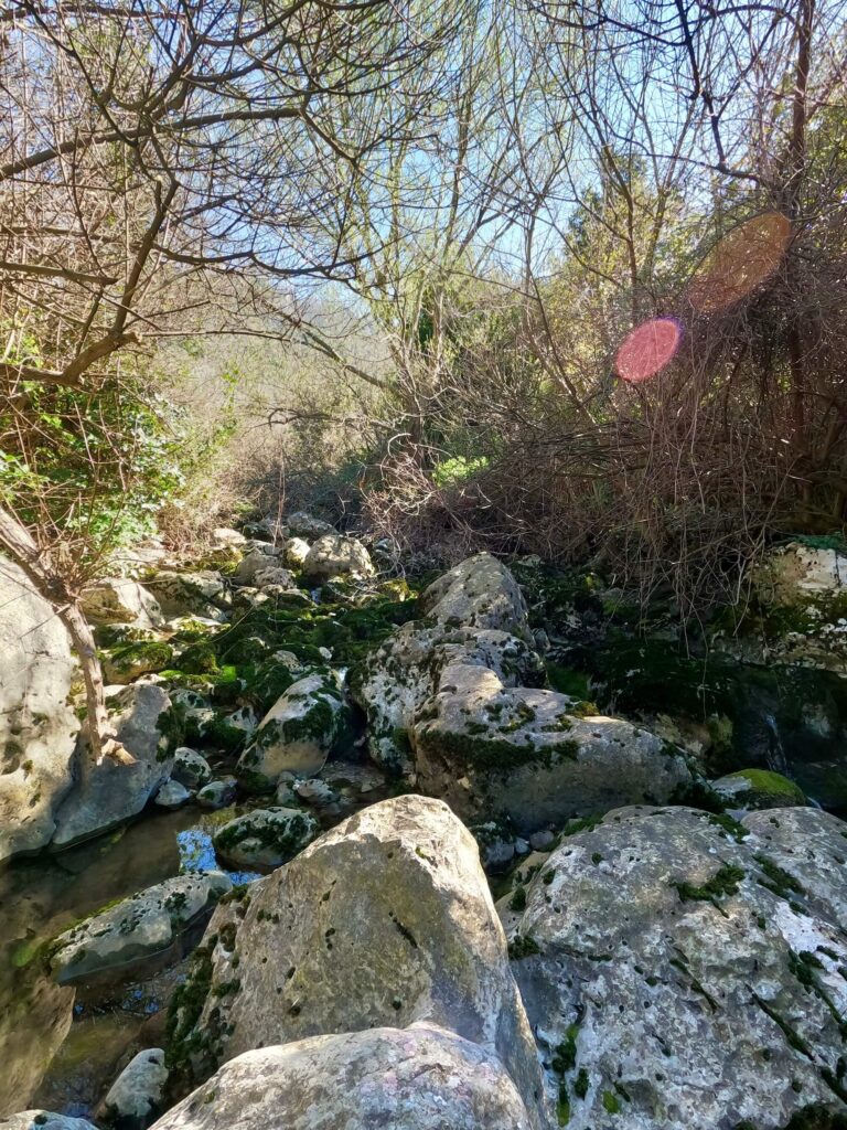 Flussbett mit Steinen