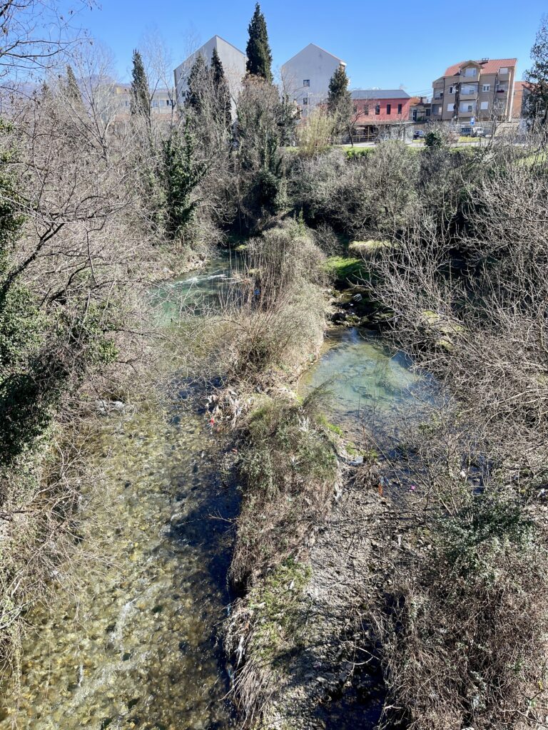 Gewässer in Natur