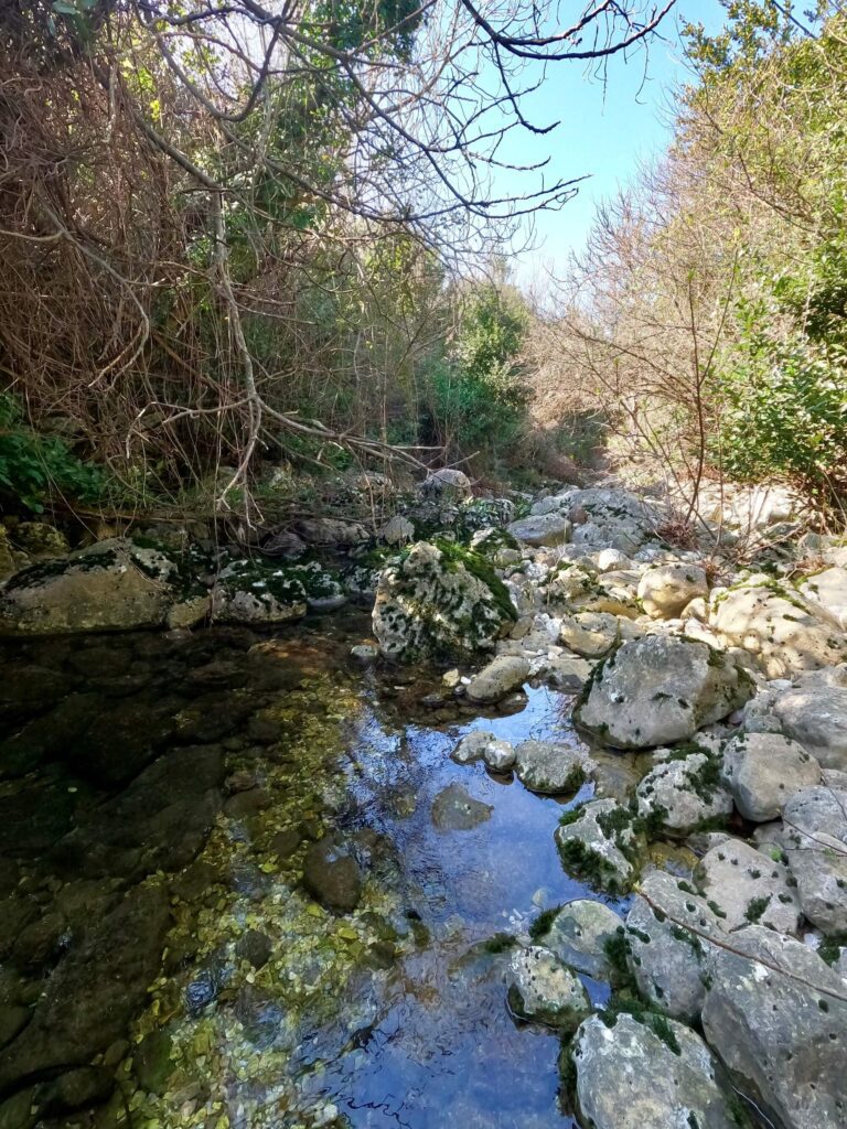 Flussbett mit Steinen