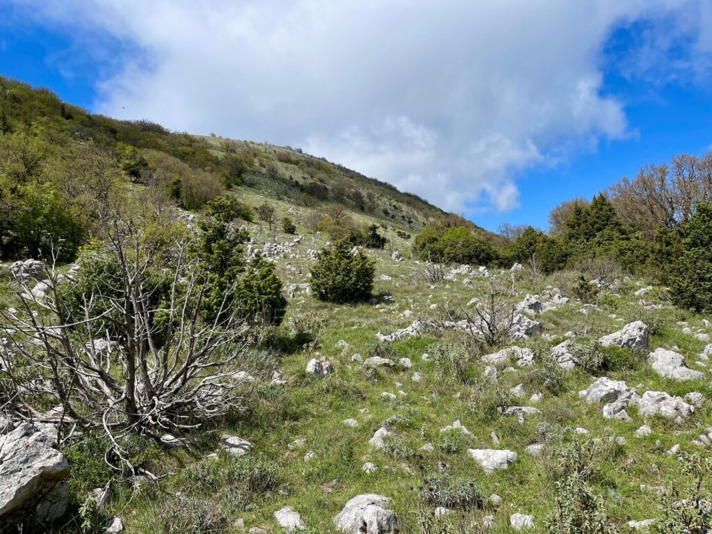 Hochebene Berge Sutomore