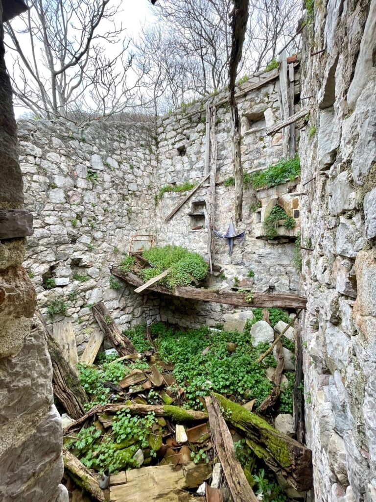 Blick in die Ruine am Wanderweg