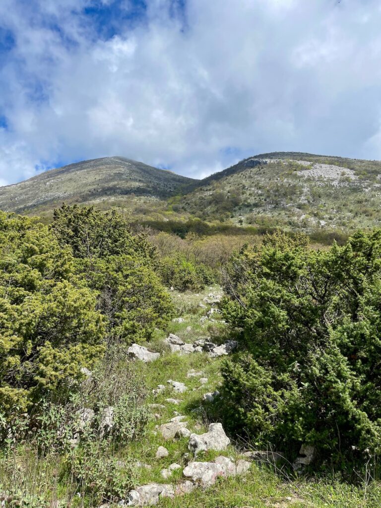 Blick auf Berge hinter Hochebene