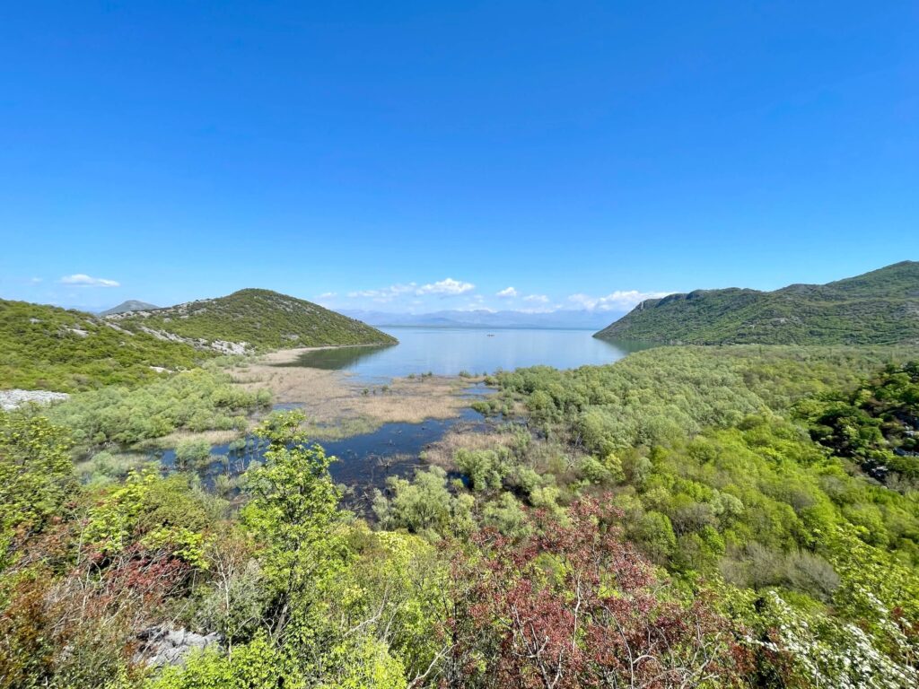 Blick auf den Skadar-See, Montenegro