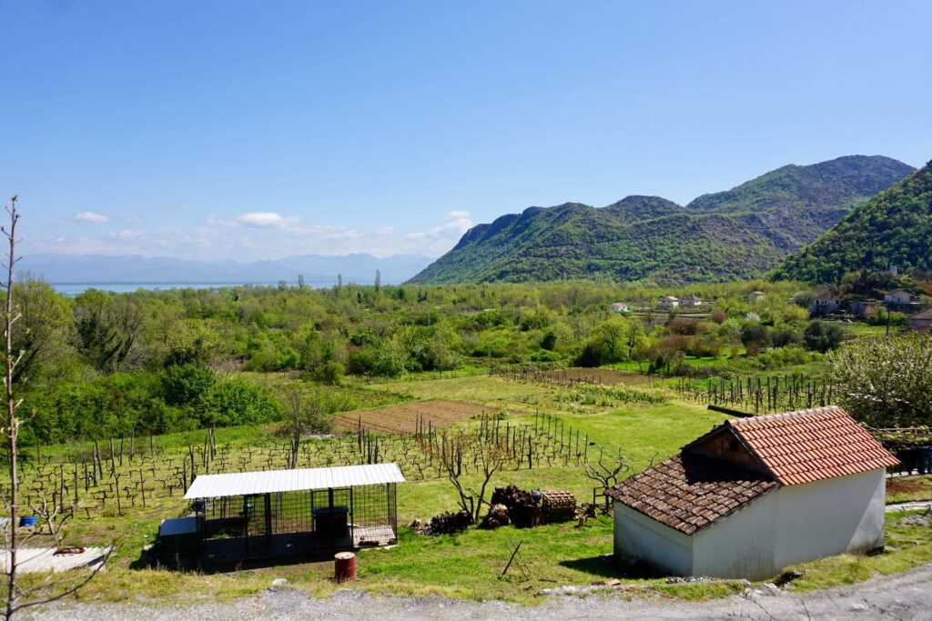 Godinje am Skadar-See, Montenegro