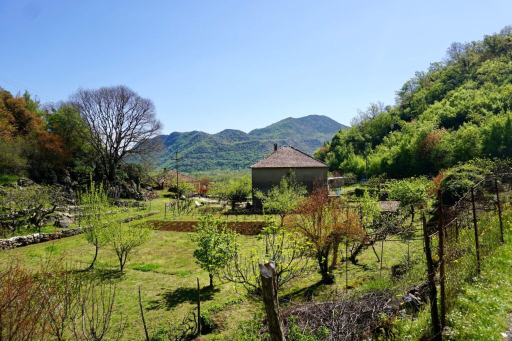 Godinje am Skadar-See, Montenegro