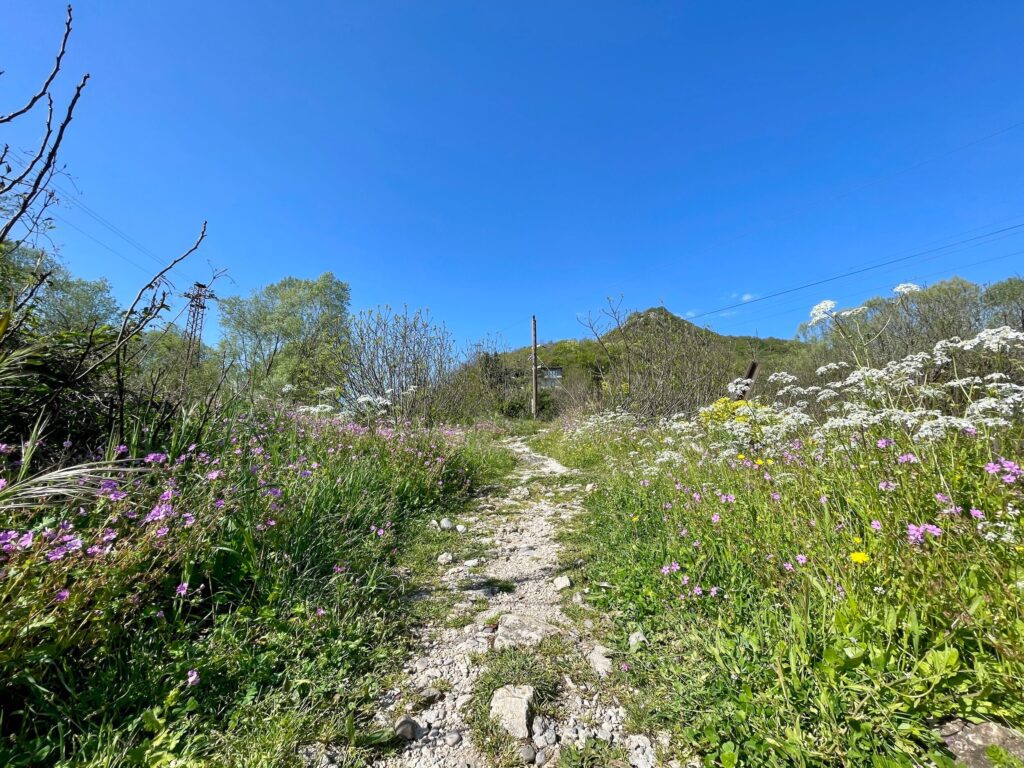 Wanderweg am Skadar-See
