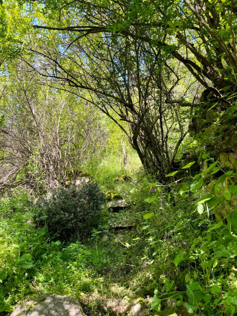 Wanderweg in Virpazar