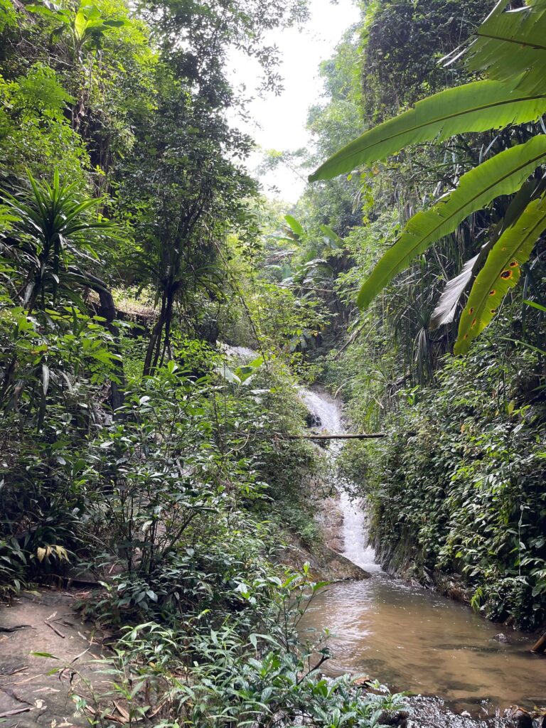 Ganz oben am Wasserfall in Mae Kampong