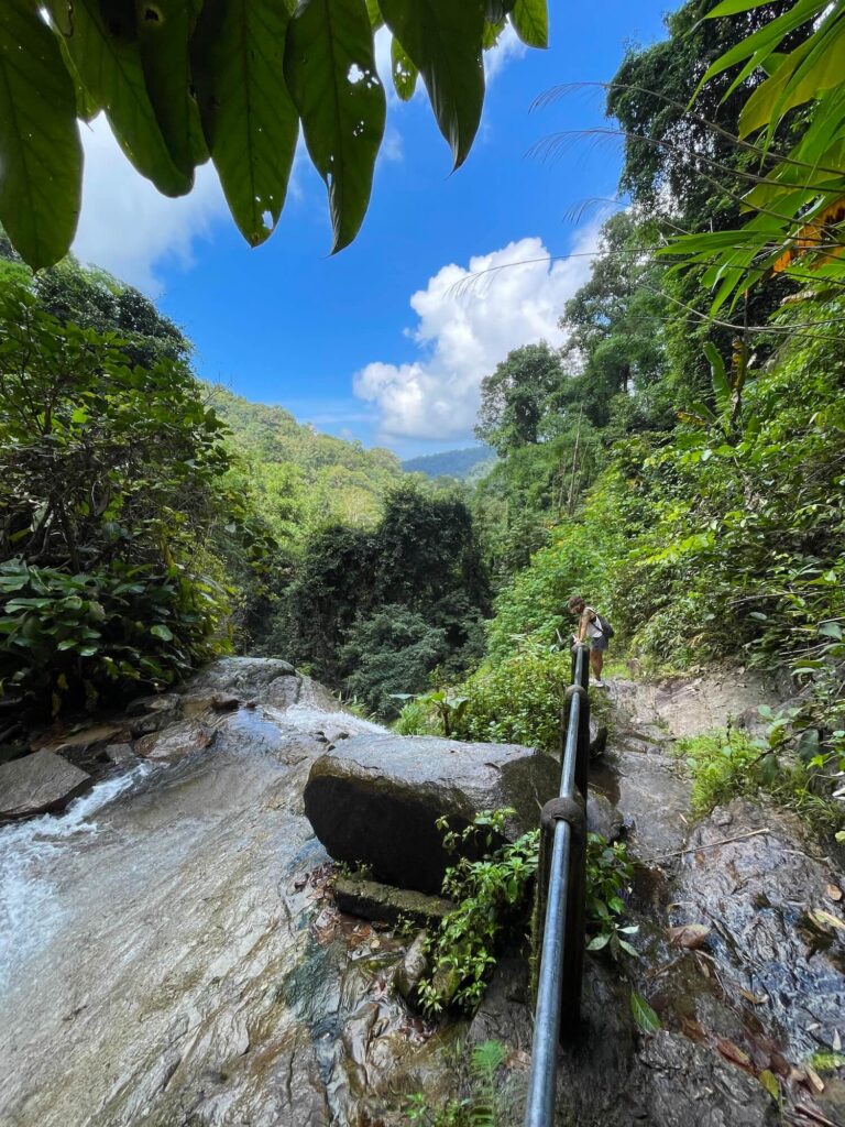 Wasserfall mit Blick auf den Dschungel