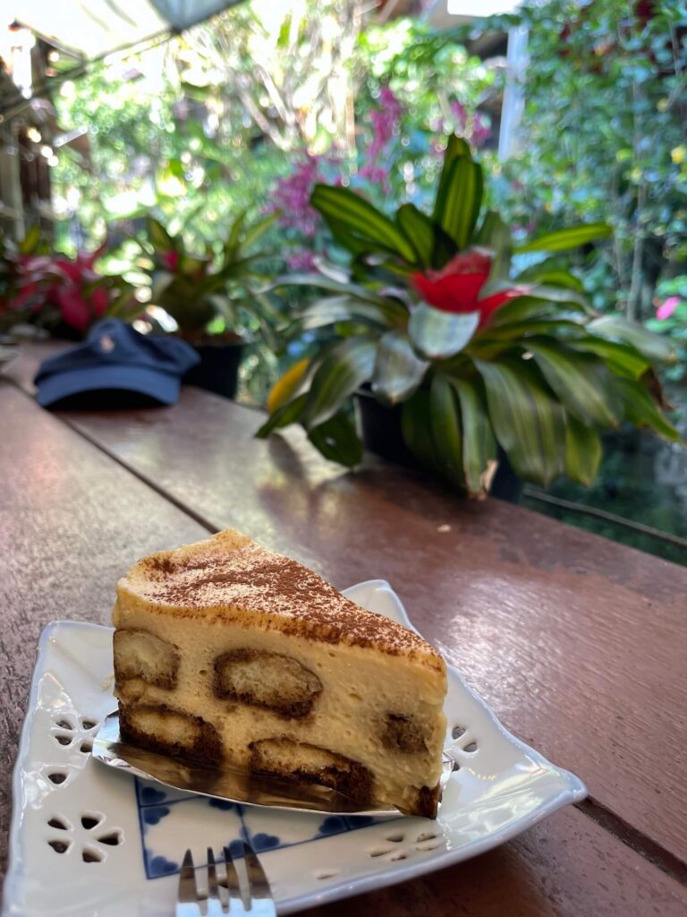 Tiramisu-Kuchen
