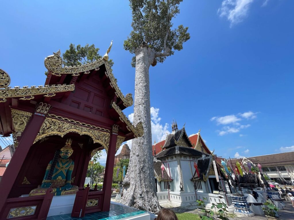 Wat Chedi Luang