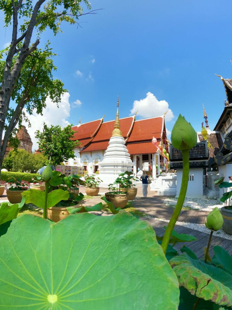 Wat Chedi Luang Tempel
